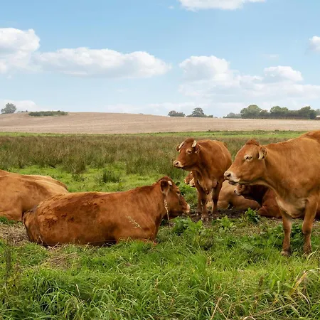 Hébergement de vacances Stunning In With Wifi *